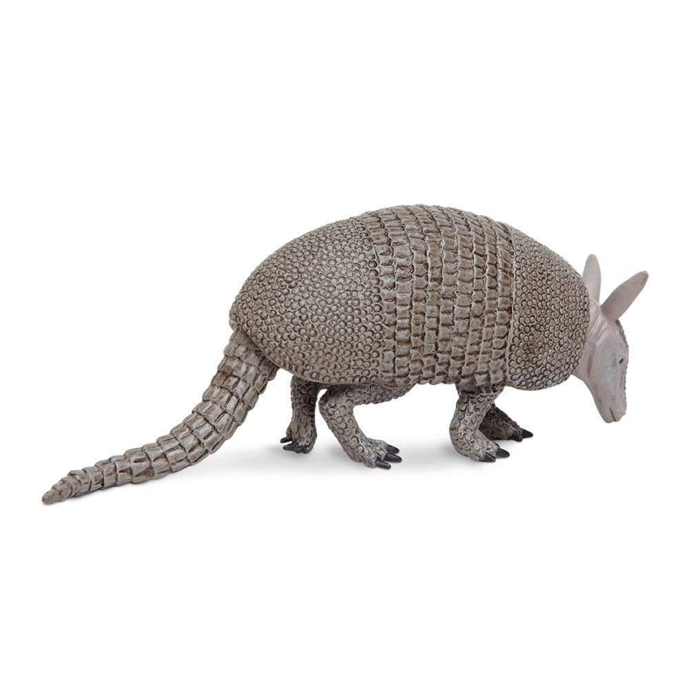 Armadillo Toy-3
