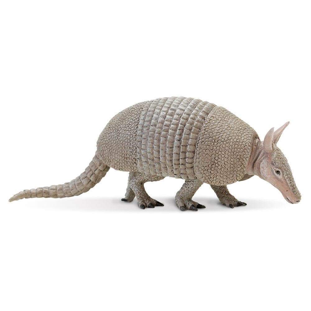 Armadillo Toy-0