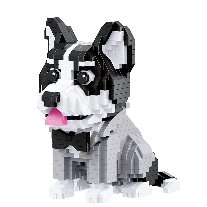 Cute Husky-0