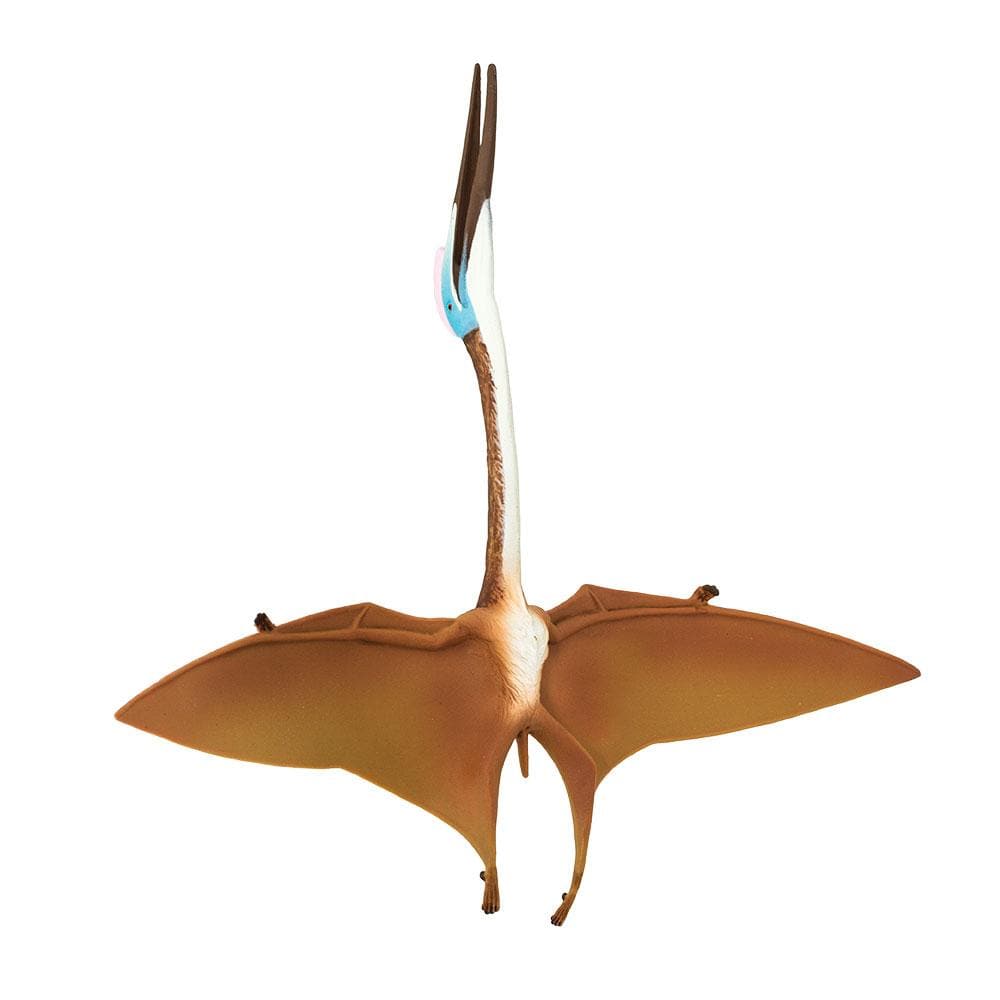 Quetzalcoatlus Toy-3
