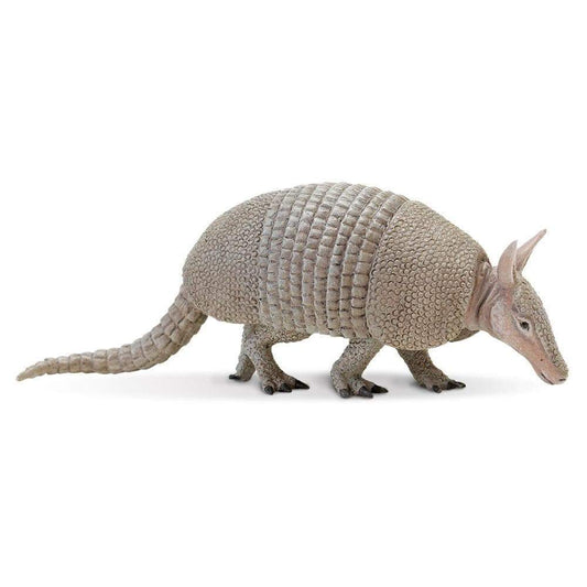 Armadillo Toy-0