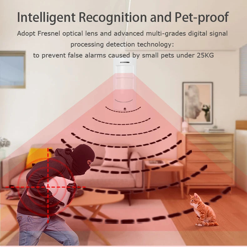 IP65 Waterproof 2 PIR and Microwave Dual Technology Pet Friendly DC 12v Outdoor PIR Infrared Motion Sensor