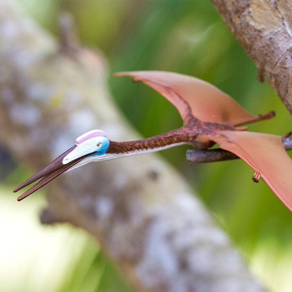 Quetzalcoatlus Toy-4